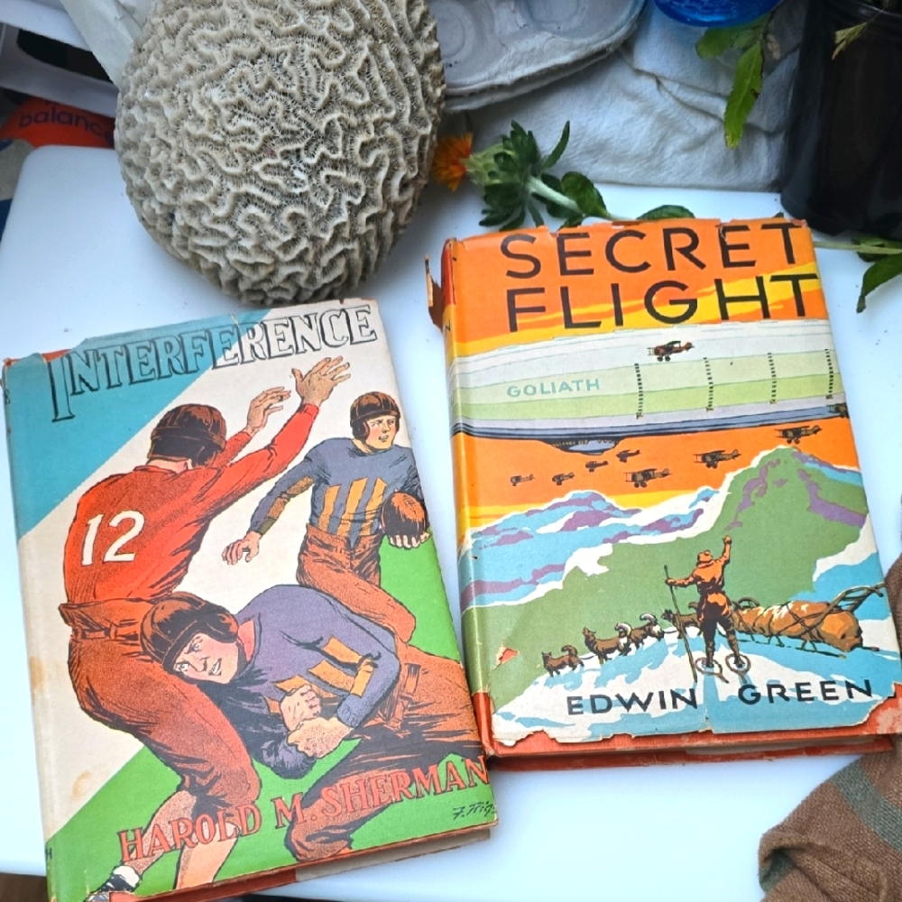1930s Childrens Books - Secret Flight & Interference - Color Dust Jackets HC